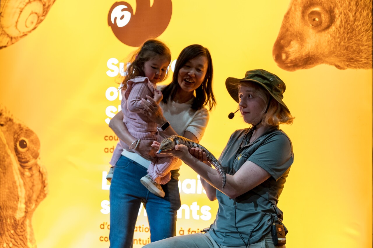 Survival of the Slowest at Science Museum of Virginia