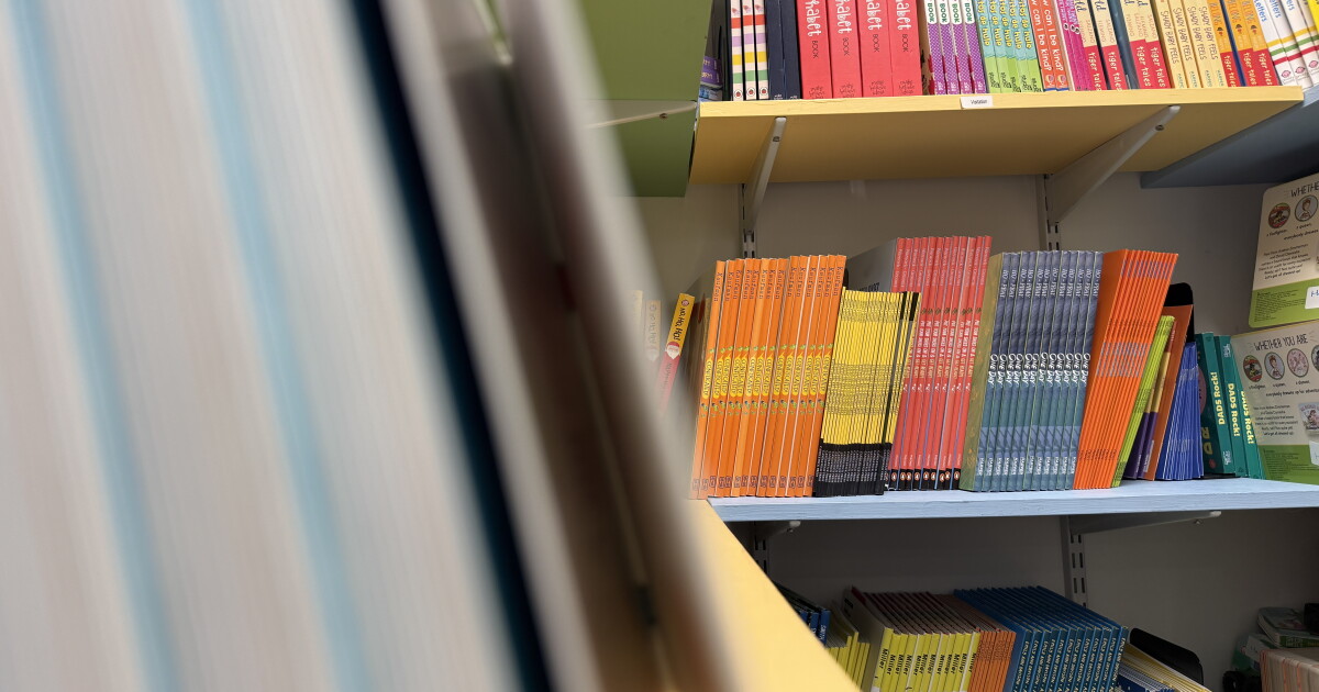 'Every little bit helps': In Polk County, Dolly’s books need a boost
