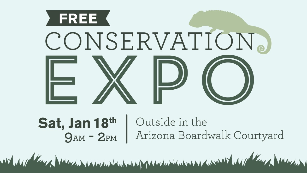 Free Conservation Expo AZ Boardwalk.jpg