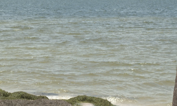 the impacts of storm water runoff