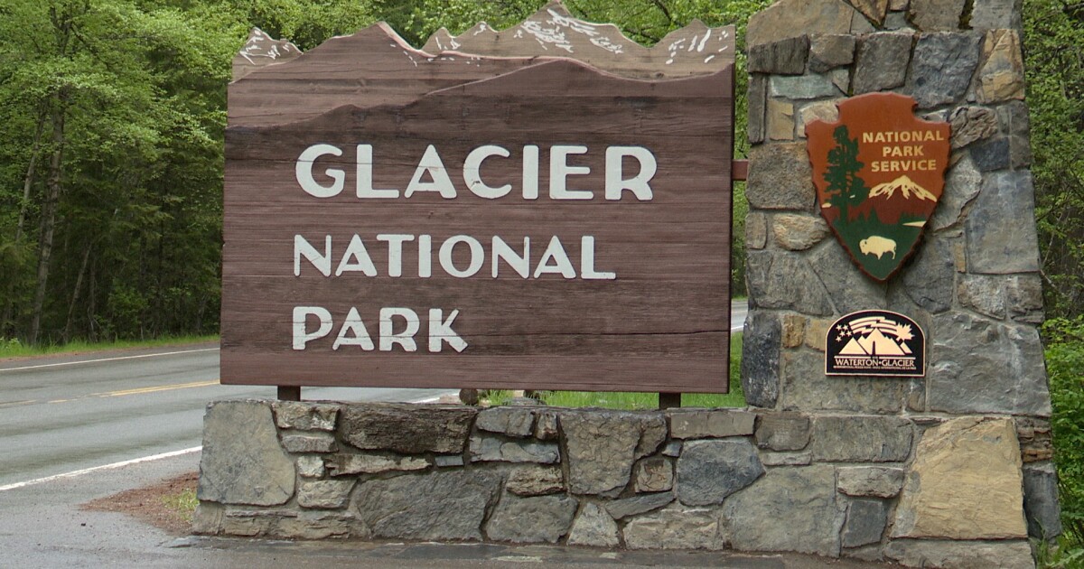 Two black bears involved in separate food-related conflicts in Glacier Park Two black bears involved in separate food-related conflicts in Glacier Park