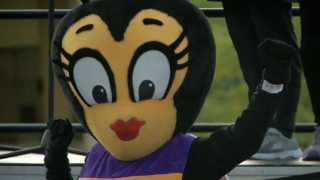 queen bee half marathon
