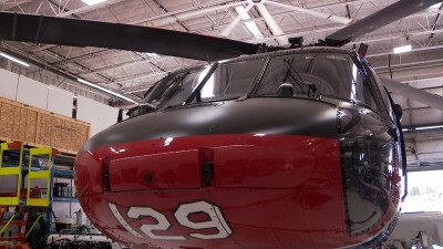 firehawk.jpg