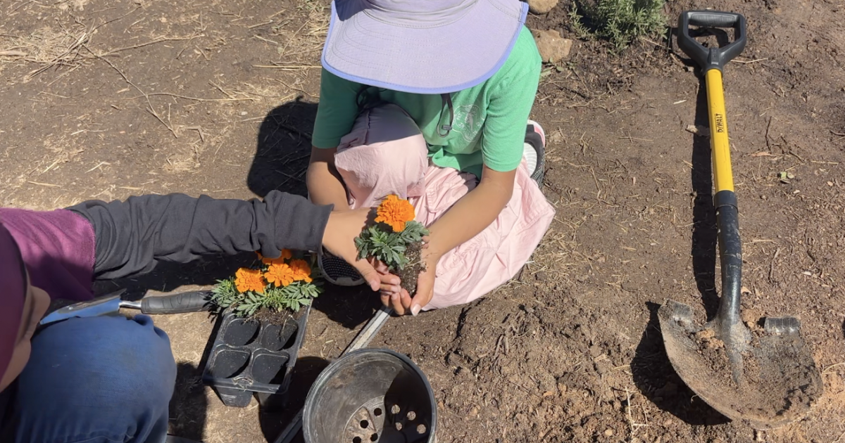 Kids plant "Heroes' Garden" at San Diego Islamic Center to honor 3 shooting victims