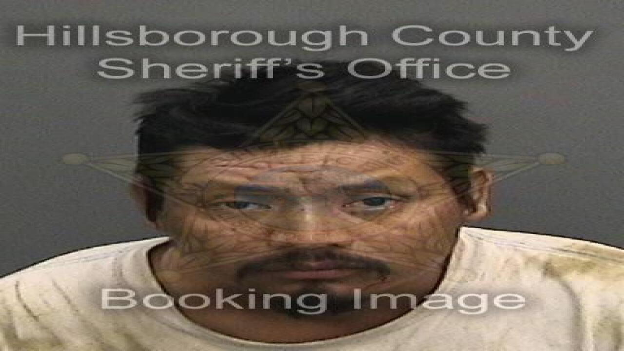 PHOTOS: Check out 100+ mug shots from Tampa Bay