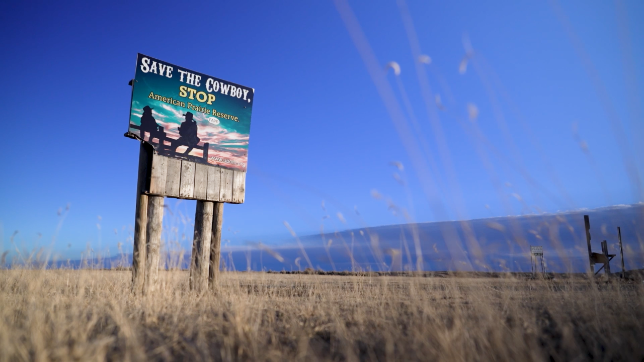 SAVE THE COWBOY SIGN 2.png