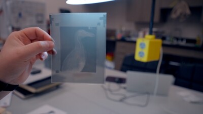 xray again .jpg