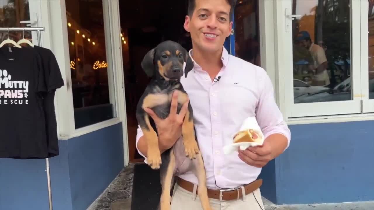 WPTV reporter Joel Lopez appears with a dog and a hot dog outside 123 Datura in West Palm Beach. Sept. 27, 2023