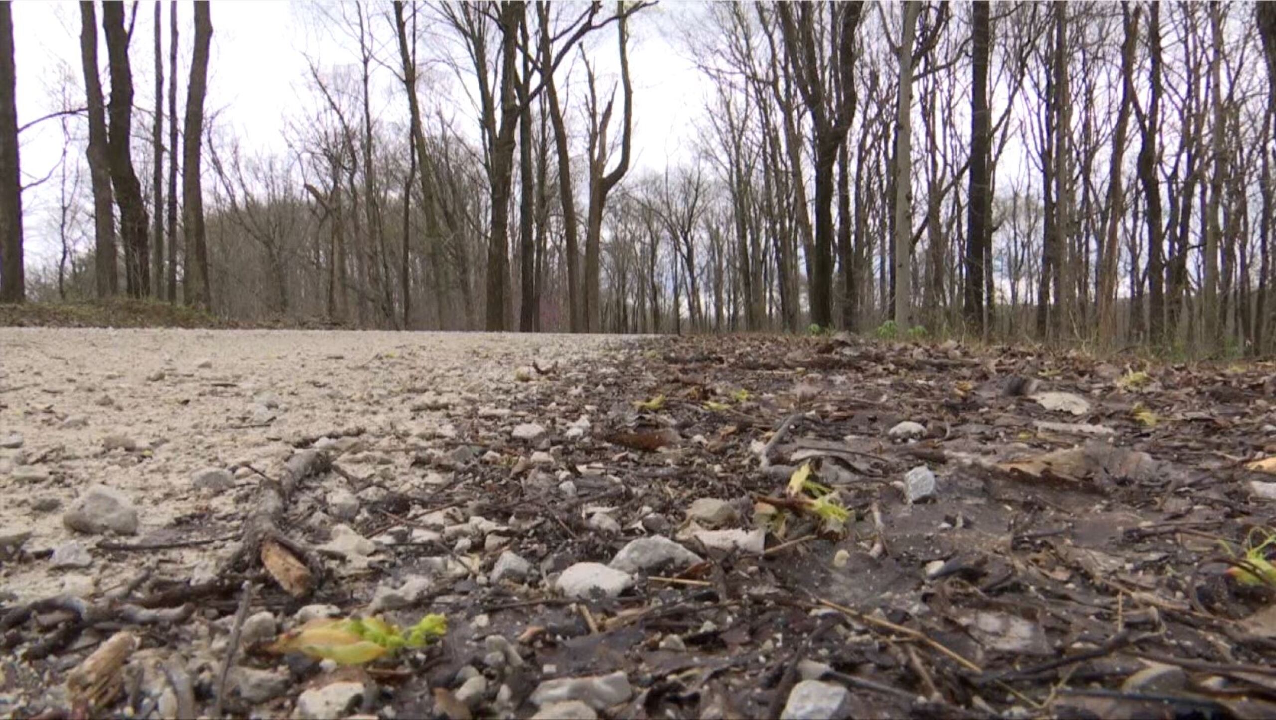 Body of boy found in wooded area was inside suitcase, ISP says