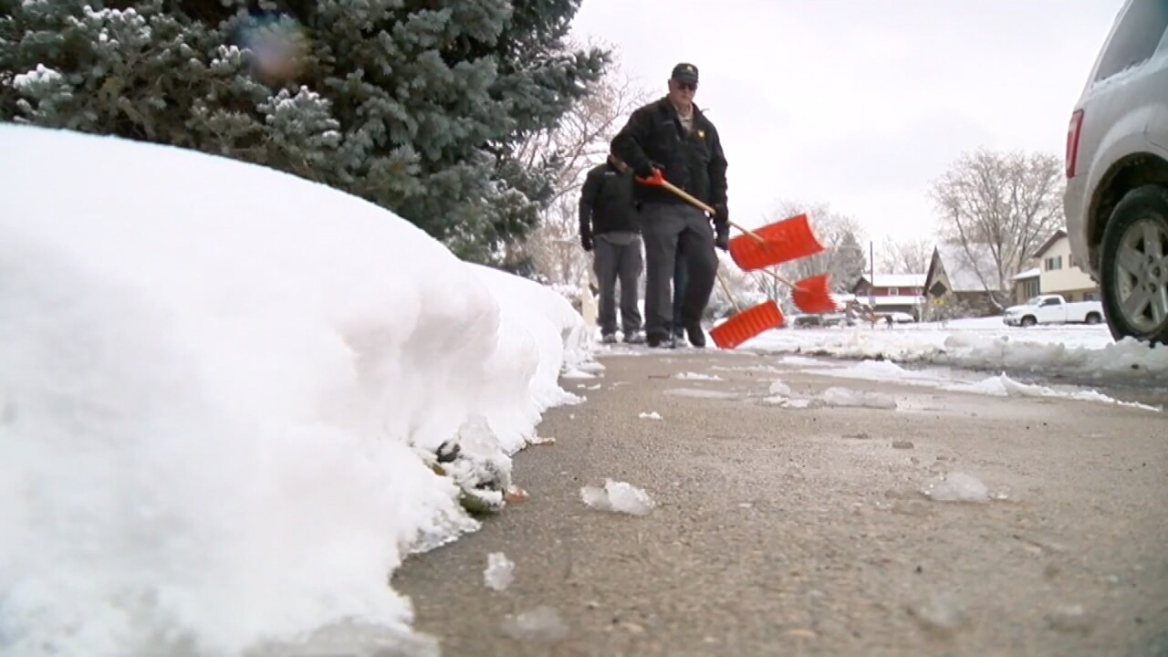 Shovel tips