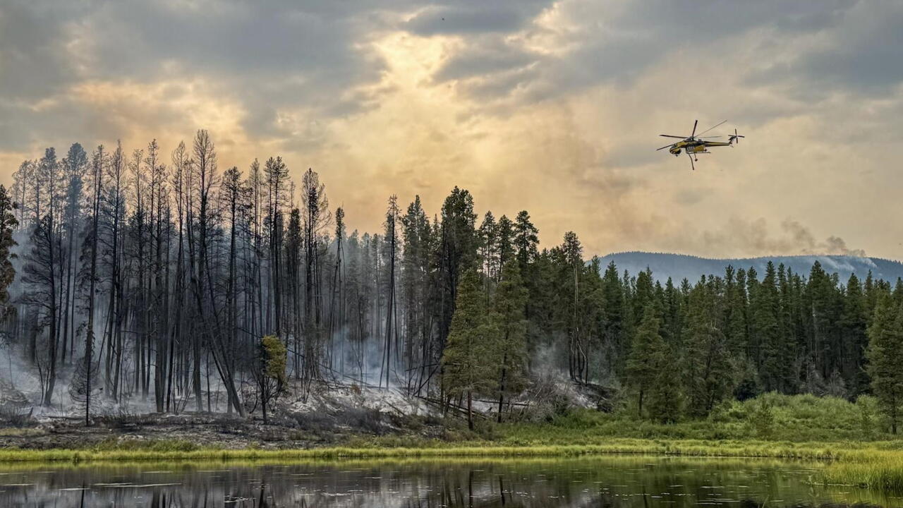 Willow Fire July 17,2026