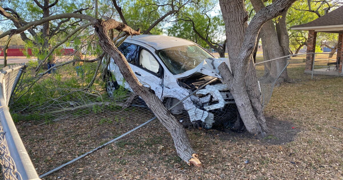 Driver rushed to hospital after crashing into tree