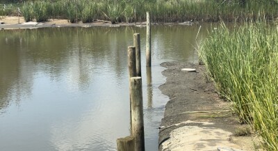 Launch of major project aims to help with flooding and erosion