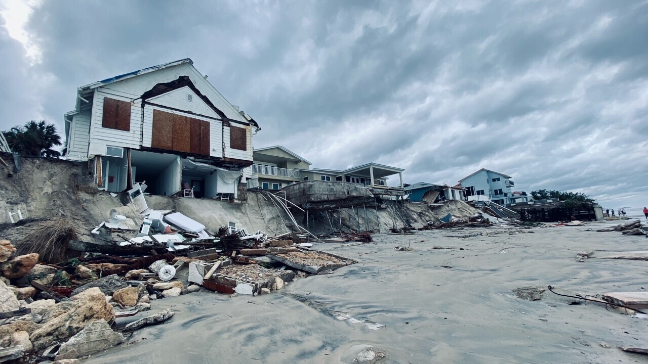 Wilbur by the sea #12.jpg