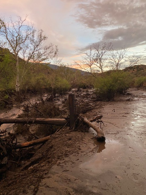 State Representative David Cook 1.png