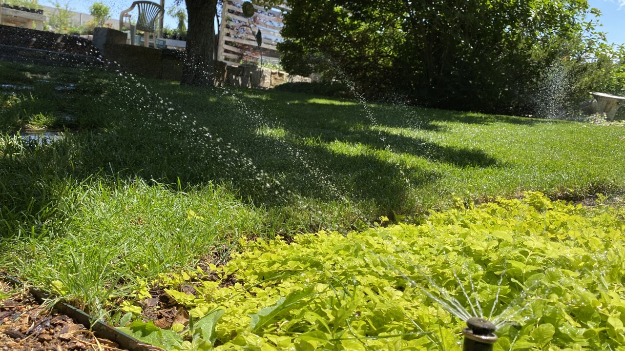 fremont landscaper