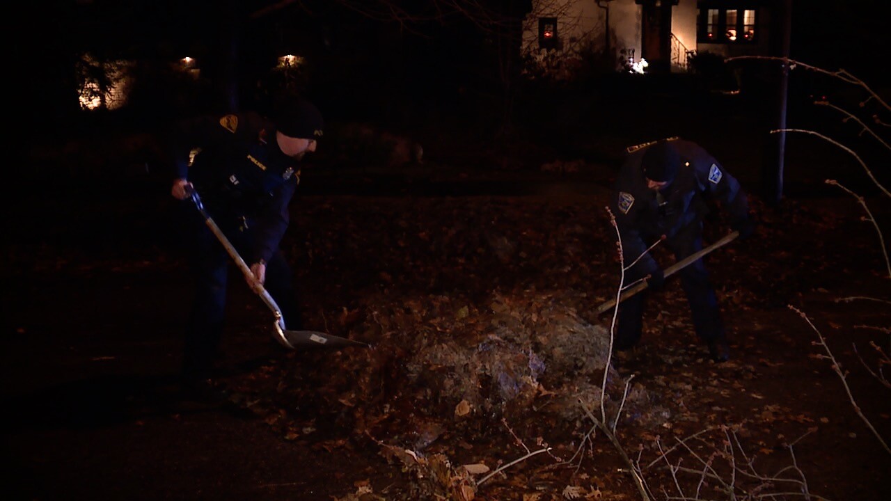 Cleveland Hts tow trees 2.jpg