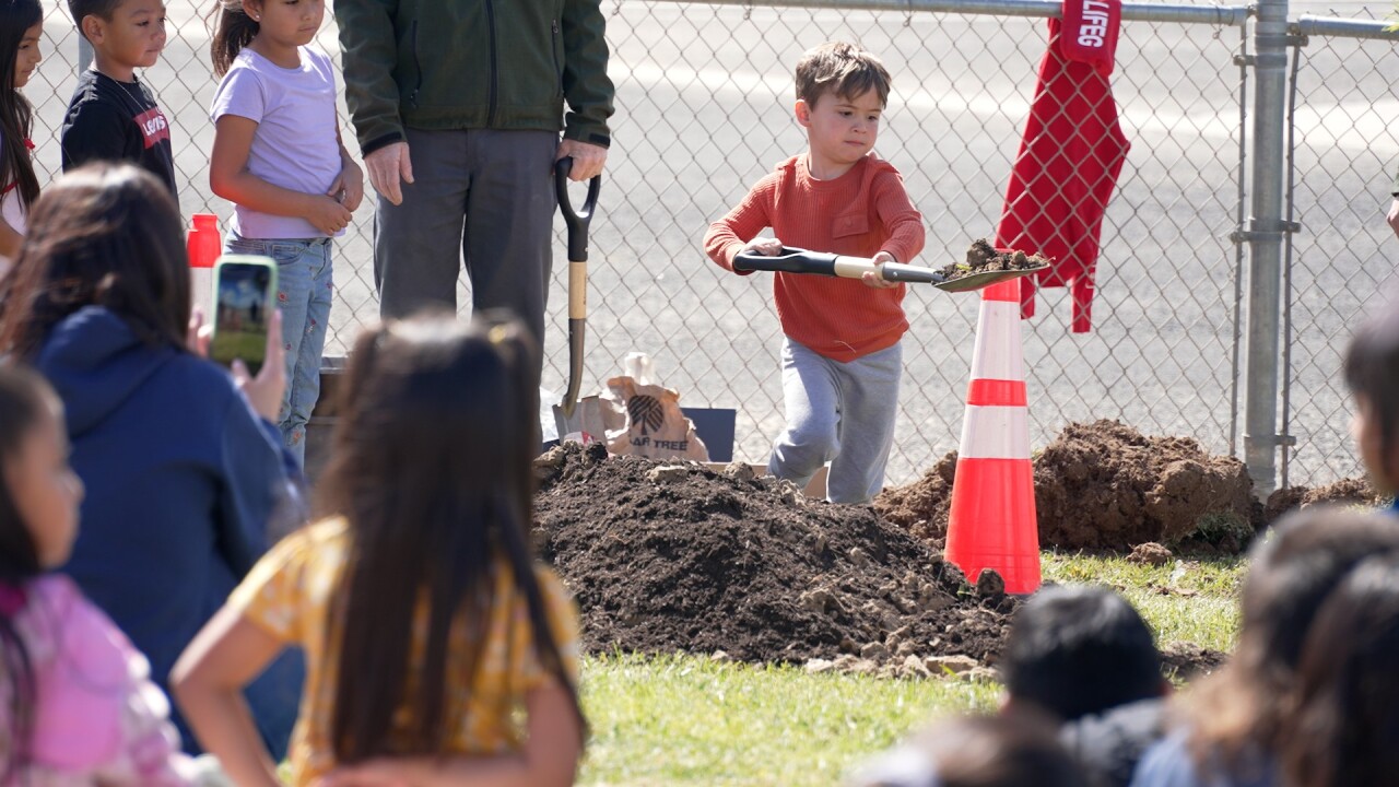 arellanes tree planting.jpg