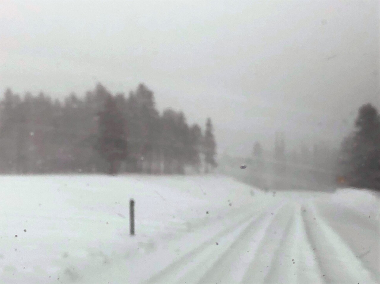 Bear Lake Road-Courtesy Rocky Mountain National Park.jpg