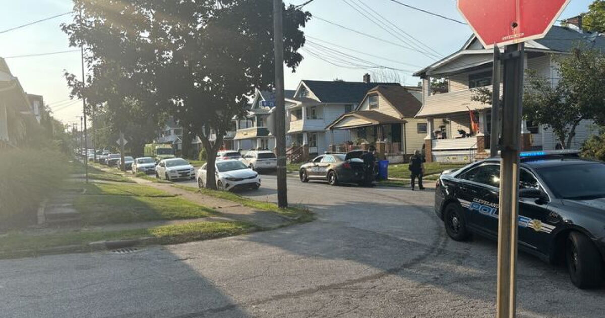2 dead, 2 injured in homicide-suicide in Old Brooklyn