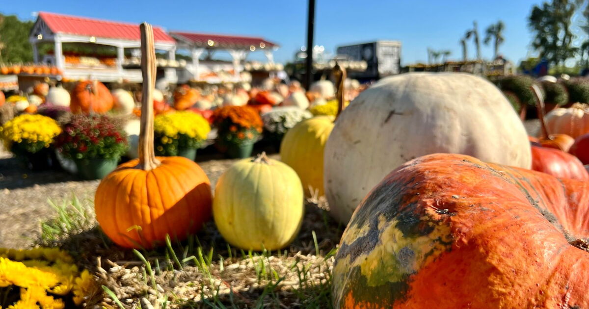 First Warning Forecast: Gorgeous fall-like Sunday, chilly start Monday - Vimarsana News
