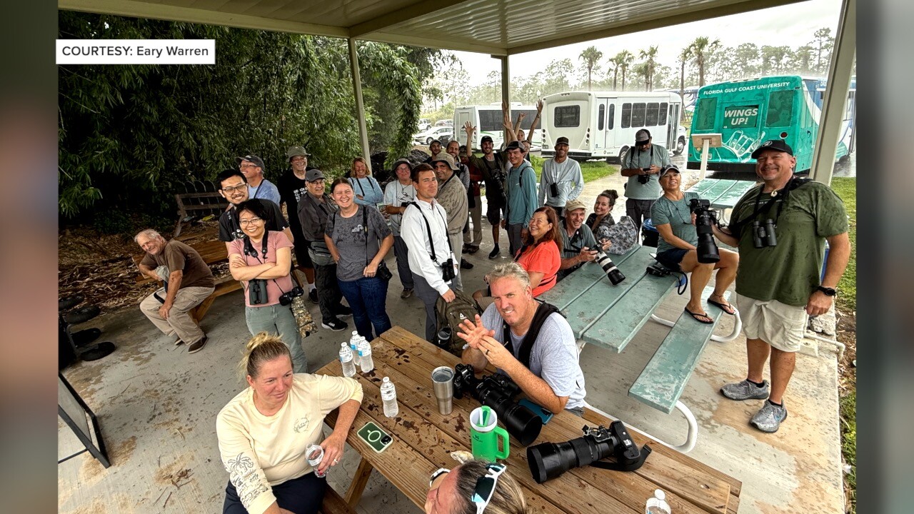 Birdwatchers flocked to FGCU