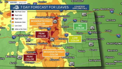 Colorado's Fall Foliage Forecast
