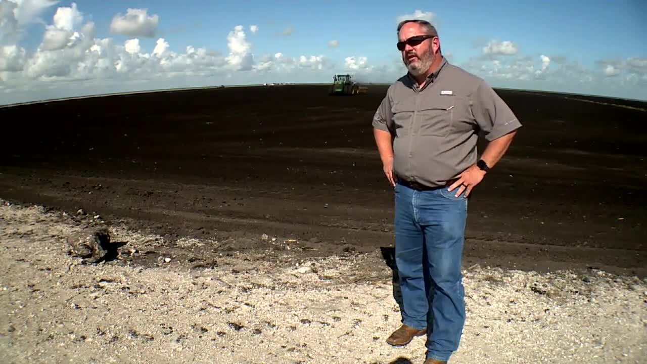 Keith Wedgeworth, farmer warns rising cost of fuel will impact consumers