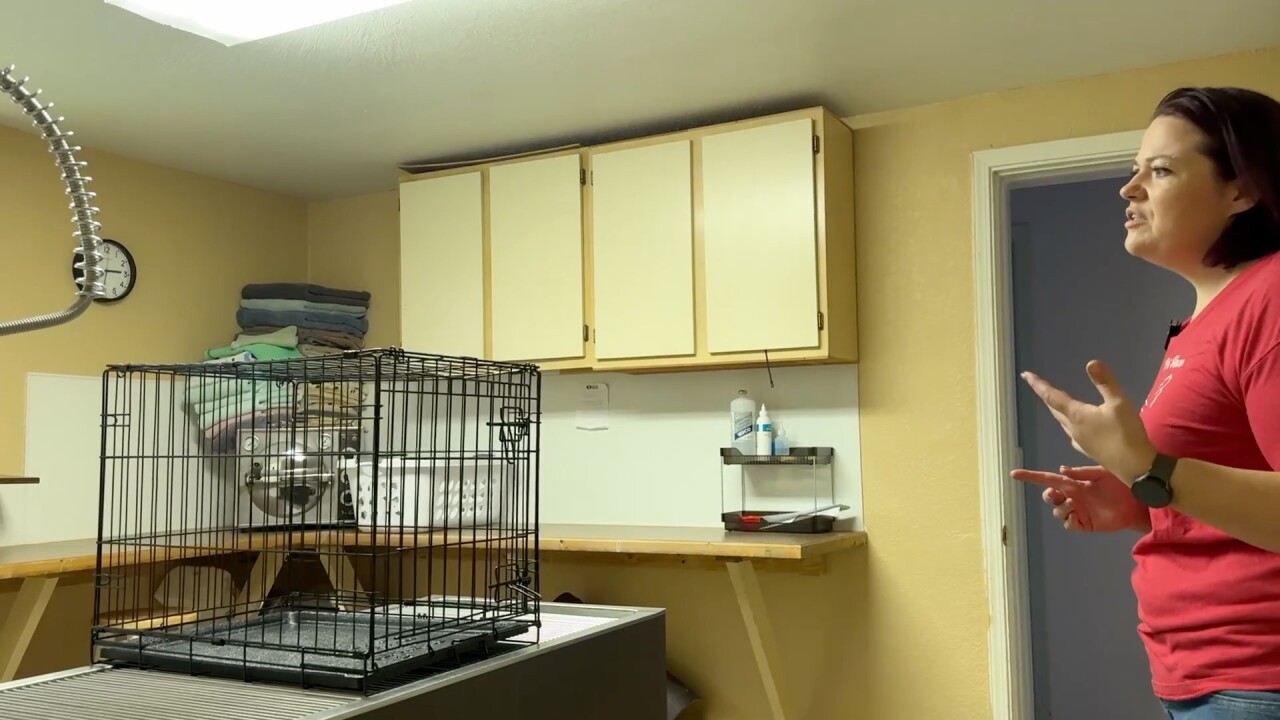 Neuter Clinic