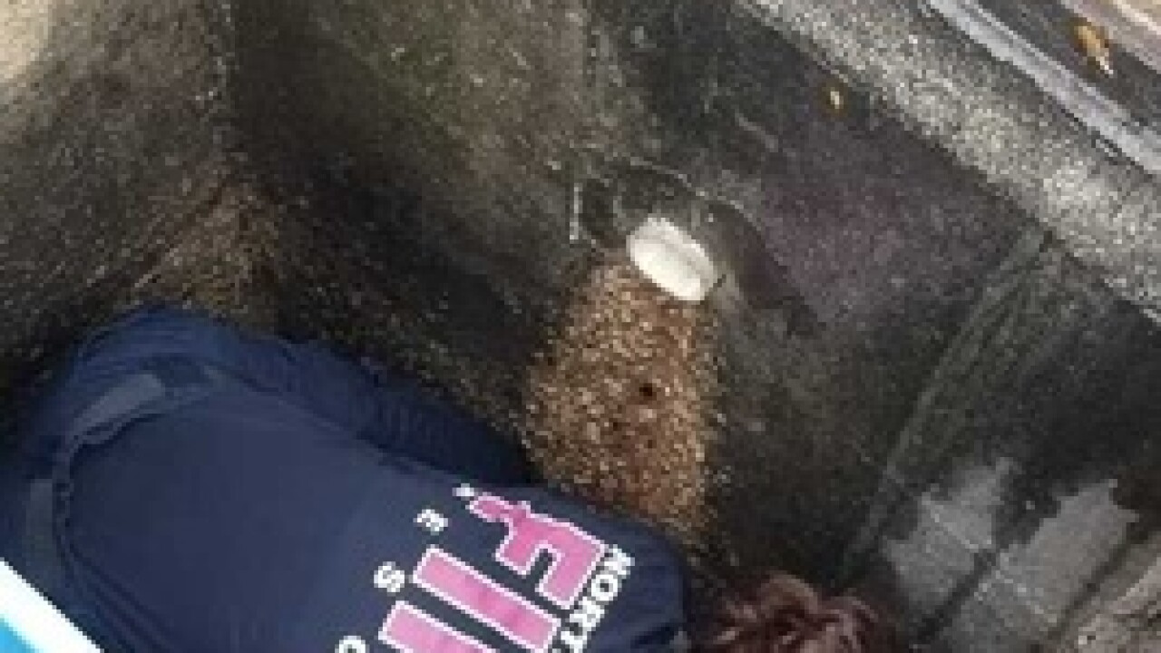 Photos: Fire crew rescues ducklings from drain