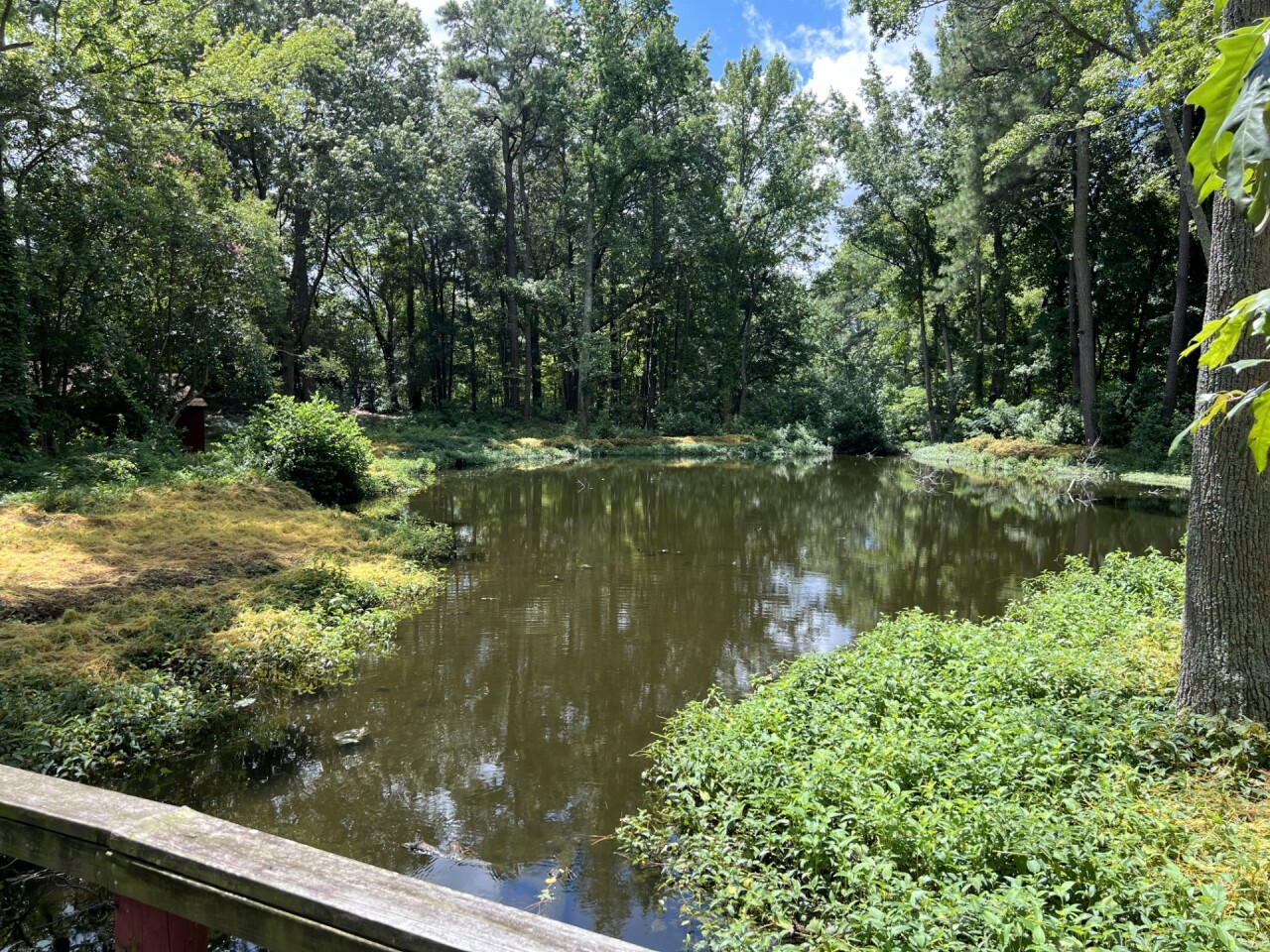 Virginia Beach residents speak out about development plans in Great Neck