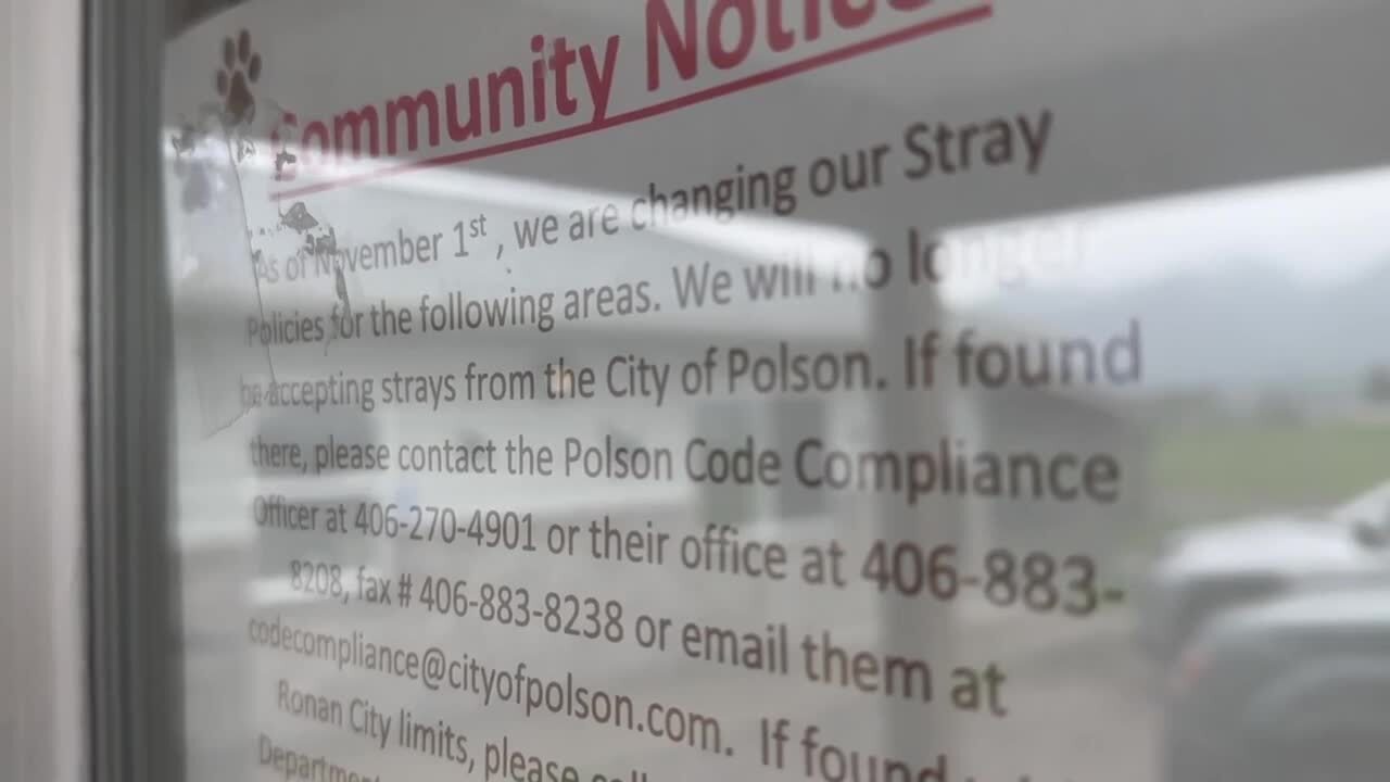 Polson Dog Ordinance