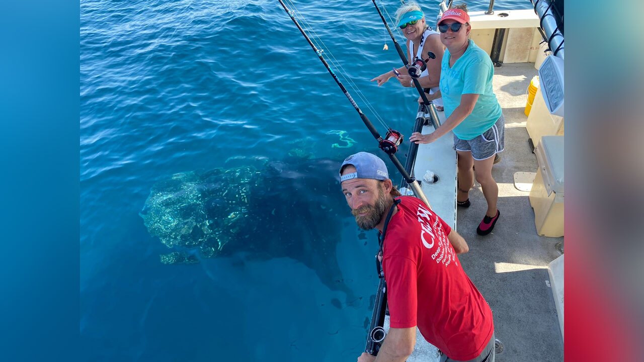 whale-shark-spotting-COURTESY-David-Singletary.jpg