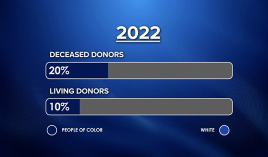 Screen Shot 2023-02-10 at 11.18.28 AM.png