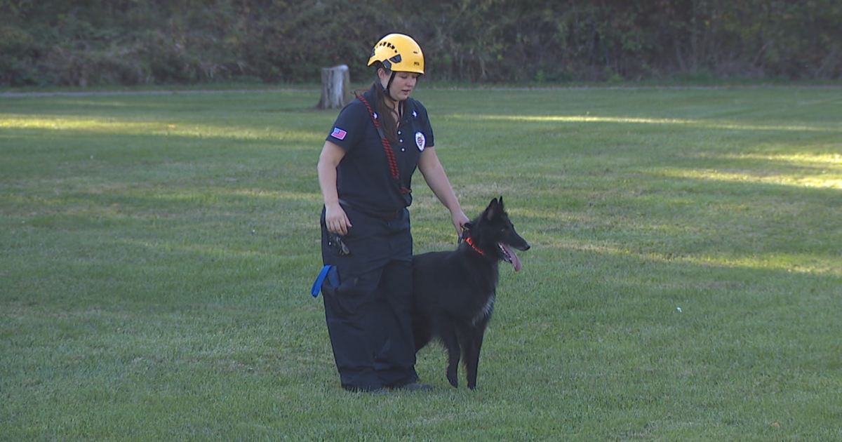 NEO K-9 search and rescue group offers help to find missing people from Helene NEO K-9 search and rescue group offers help to find missing people from Helene