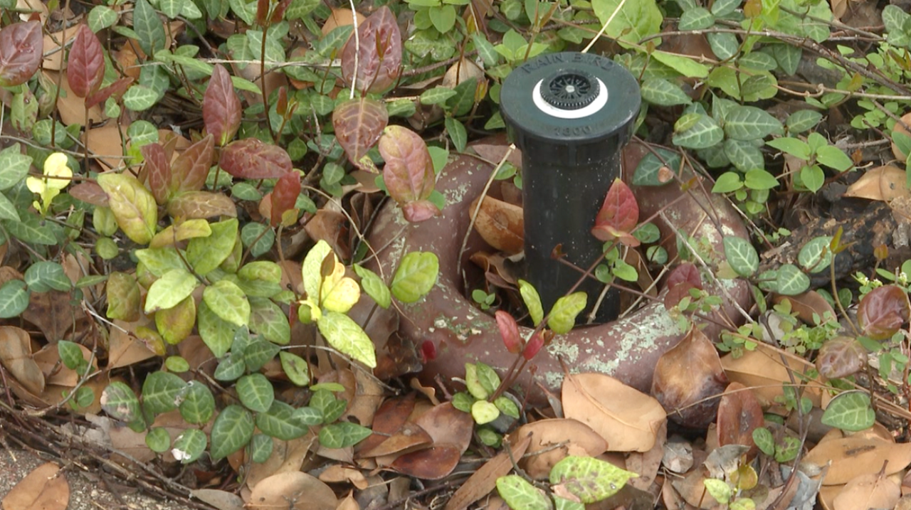 The National Weather Service confirmed Thursday that the entire state of Florida is currently under drought condition.