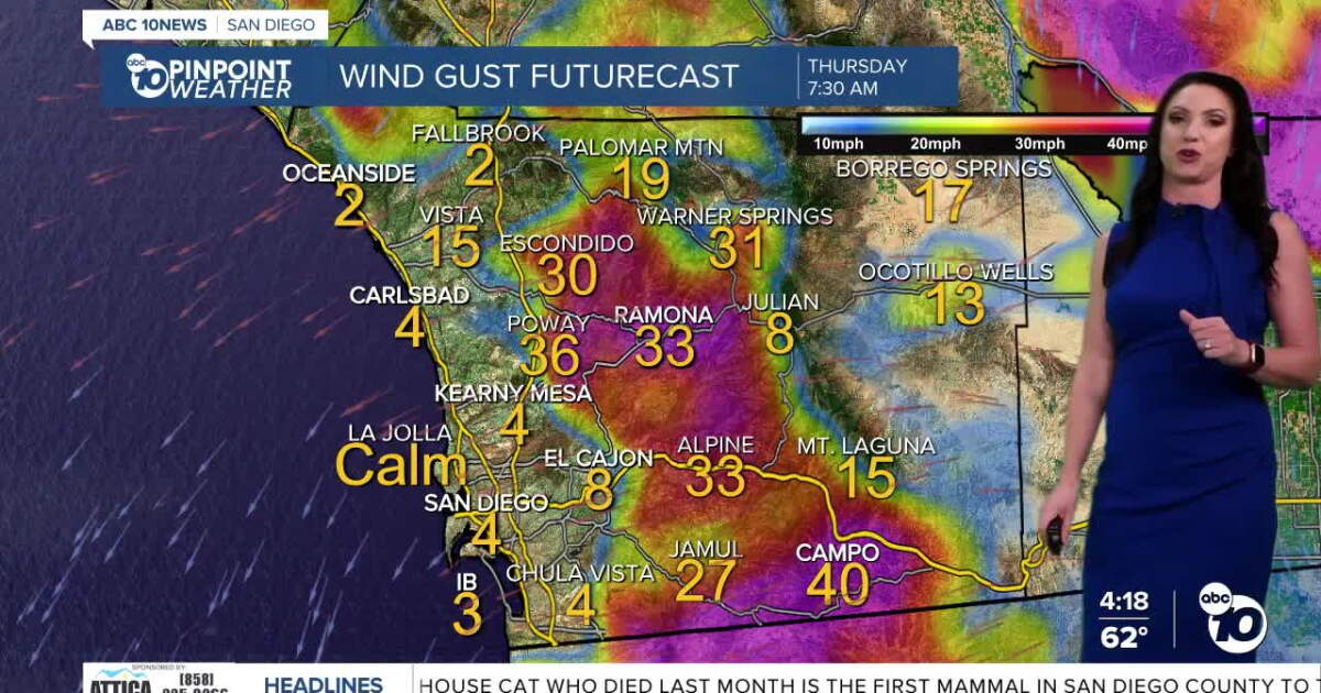 Windy Thursday Megan's Forecast: Hot, dry & windy Thursday then cooler & wet