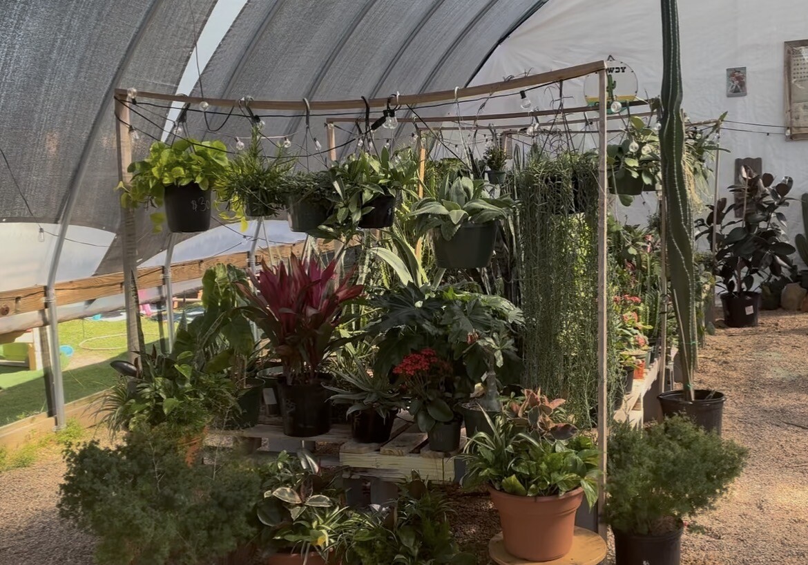 Photo by: Jessica Poole

In one of three greenhouses at Succs N Such.
