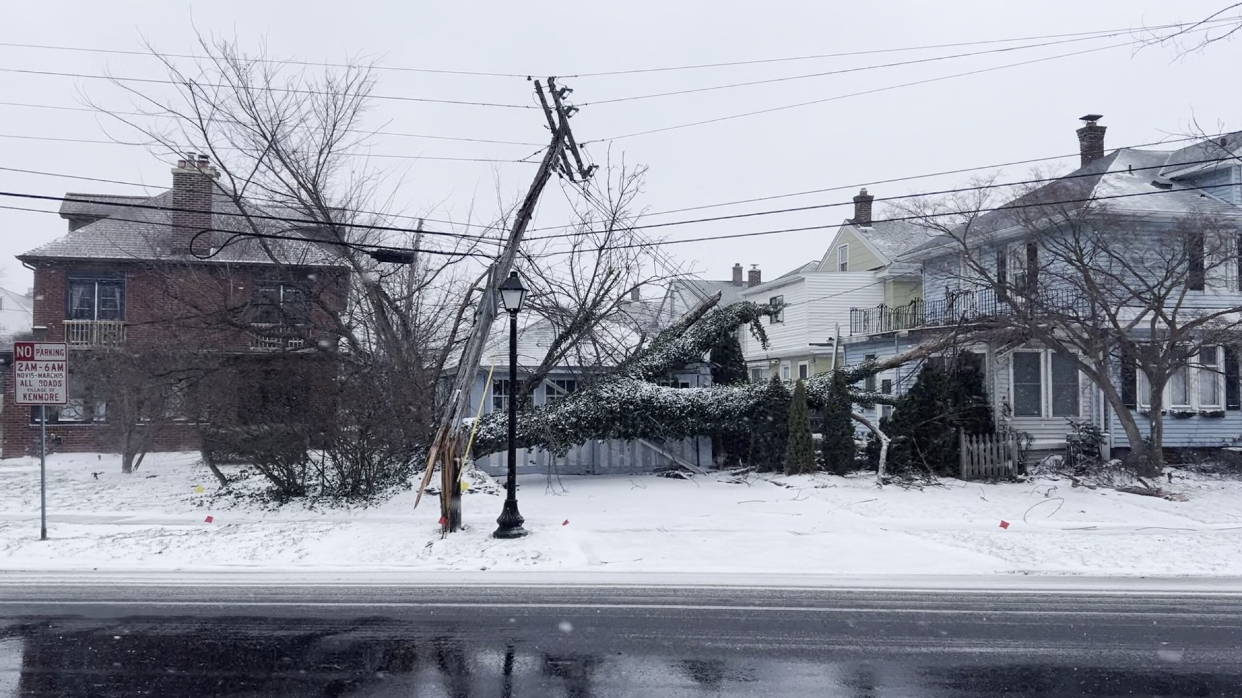 Winter storm topples trees and power lines in Northtowns and Niagara County