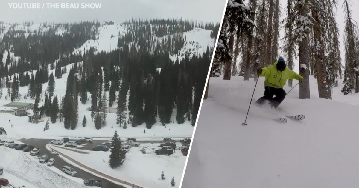 What makes Wolf Creek a unique ski spot – beyond its 430 inches of annual powder - Vimarsana News