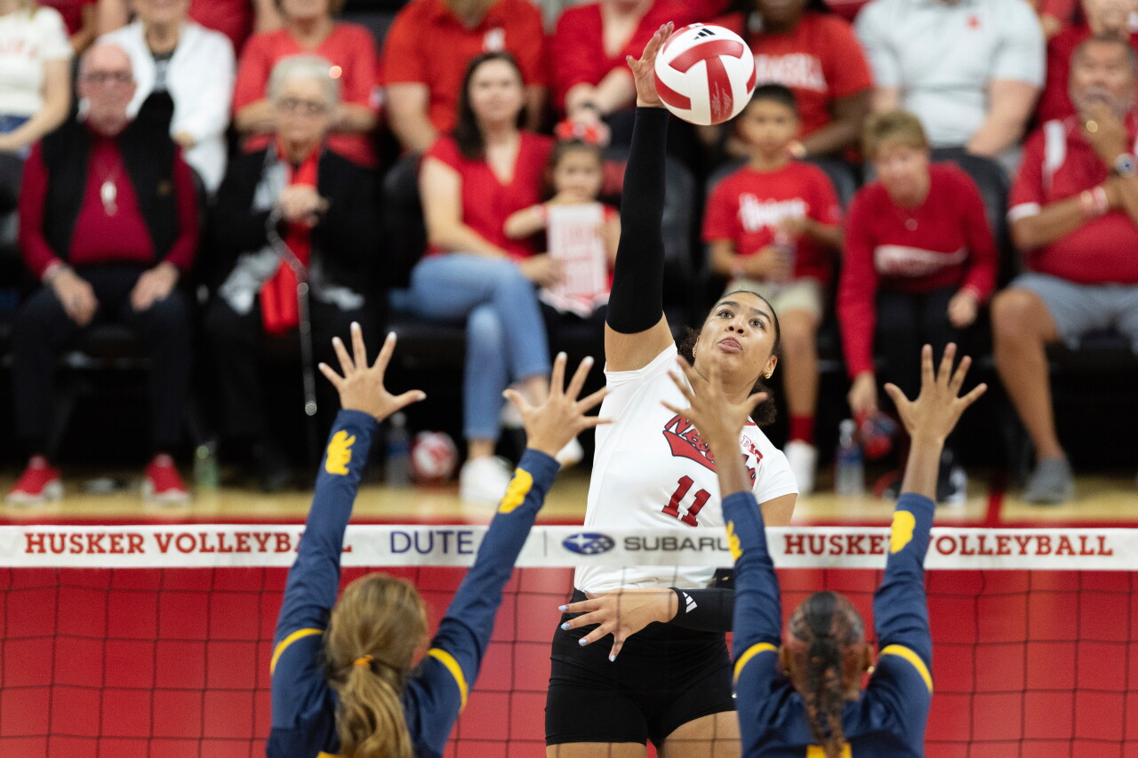 Spikes Under the Lights Volleyball