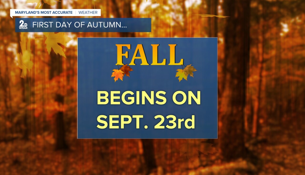 FALL.jpg