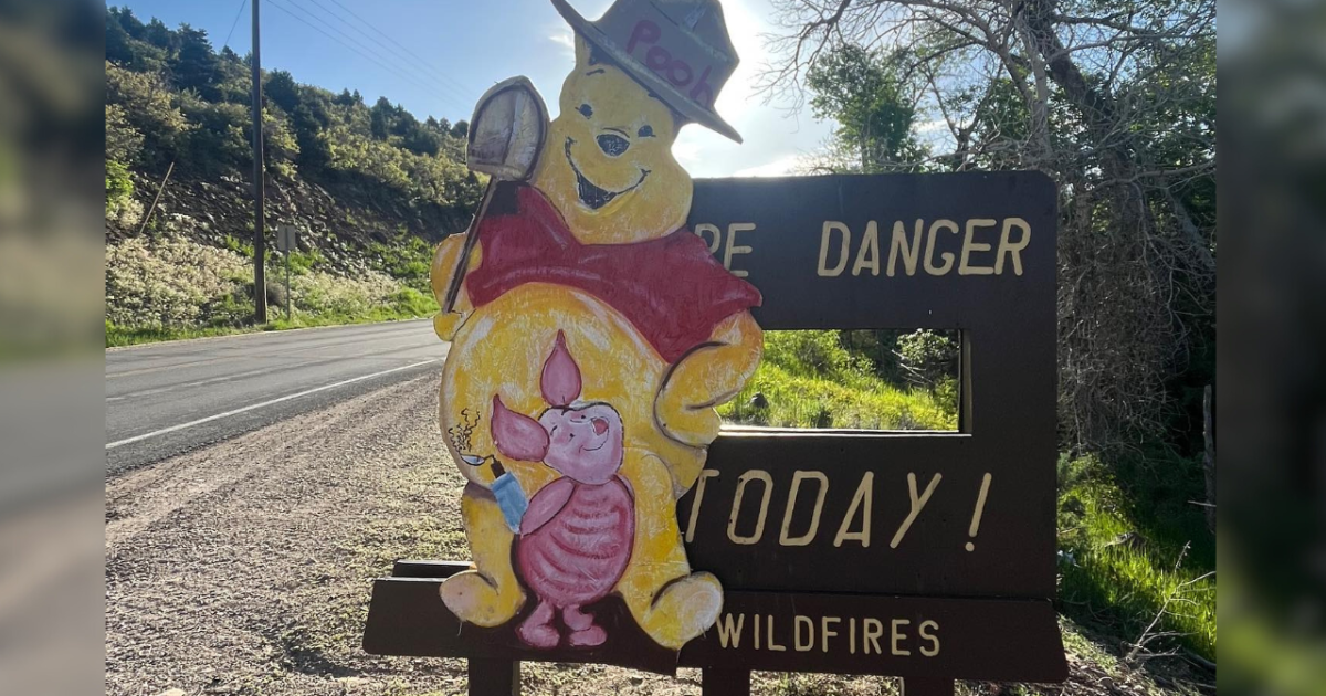 Winnie the Pooh stands in for missing Smokey the Bear sign - Vimarsana News