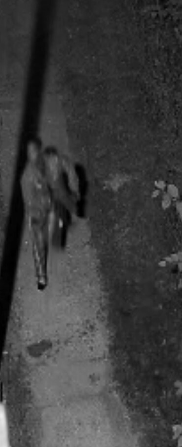 Benton Harbor Shooting