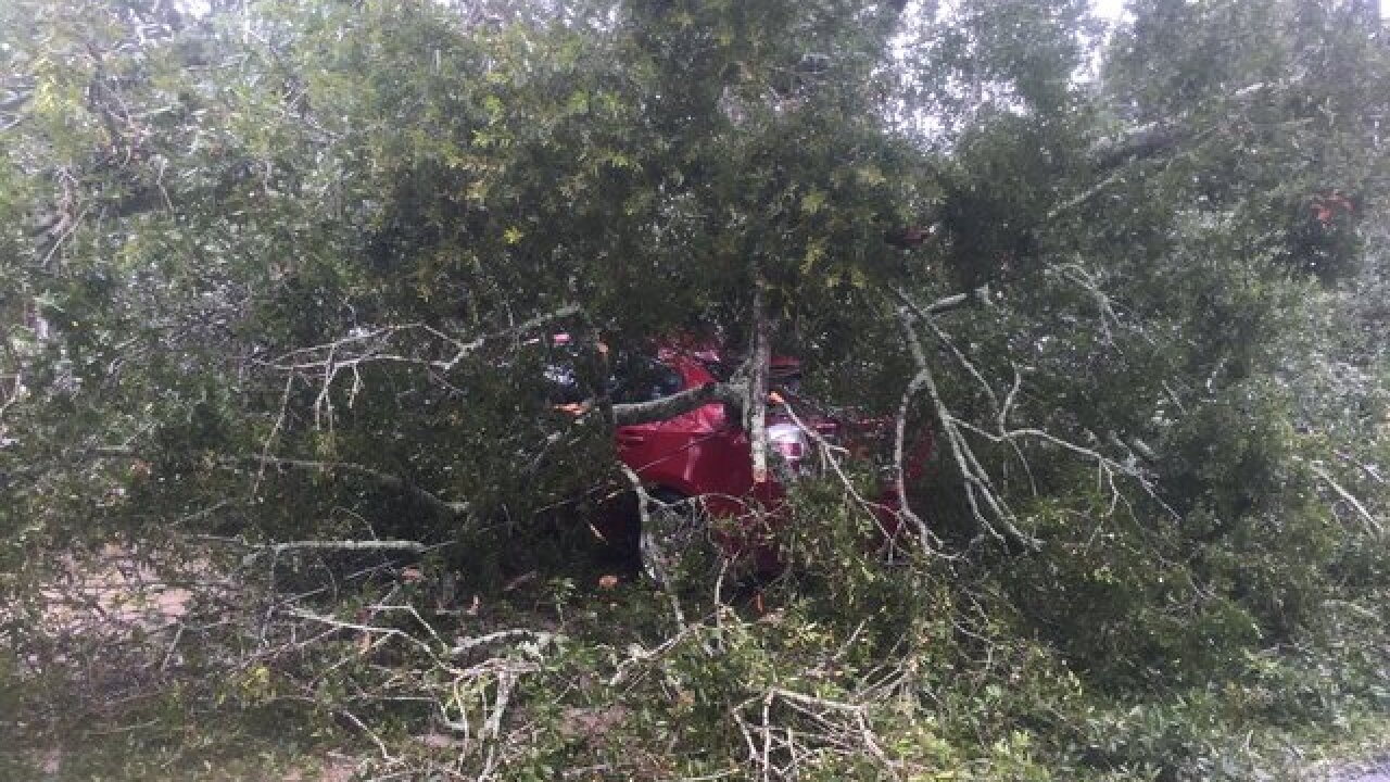 PHOTOS: Hurricane Matthew torments Florida coast
