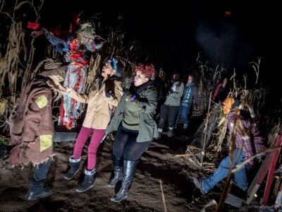 FOS-scare-3.jpg