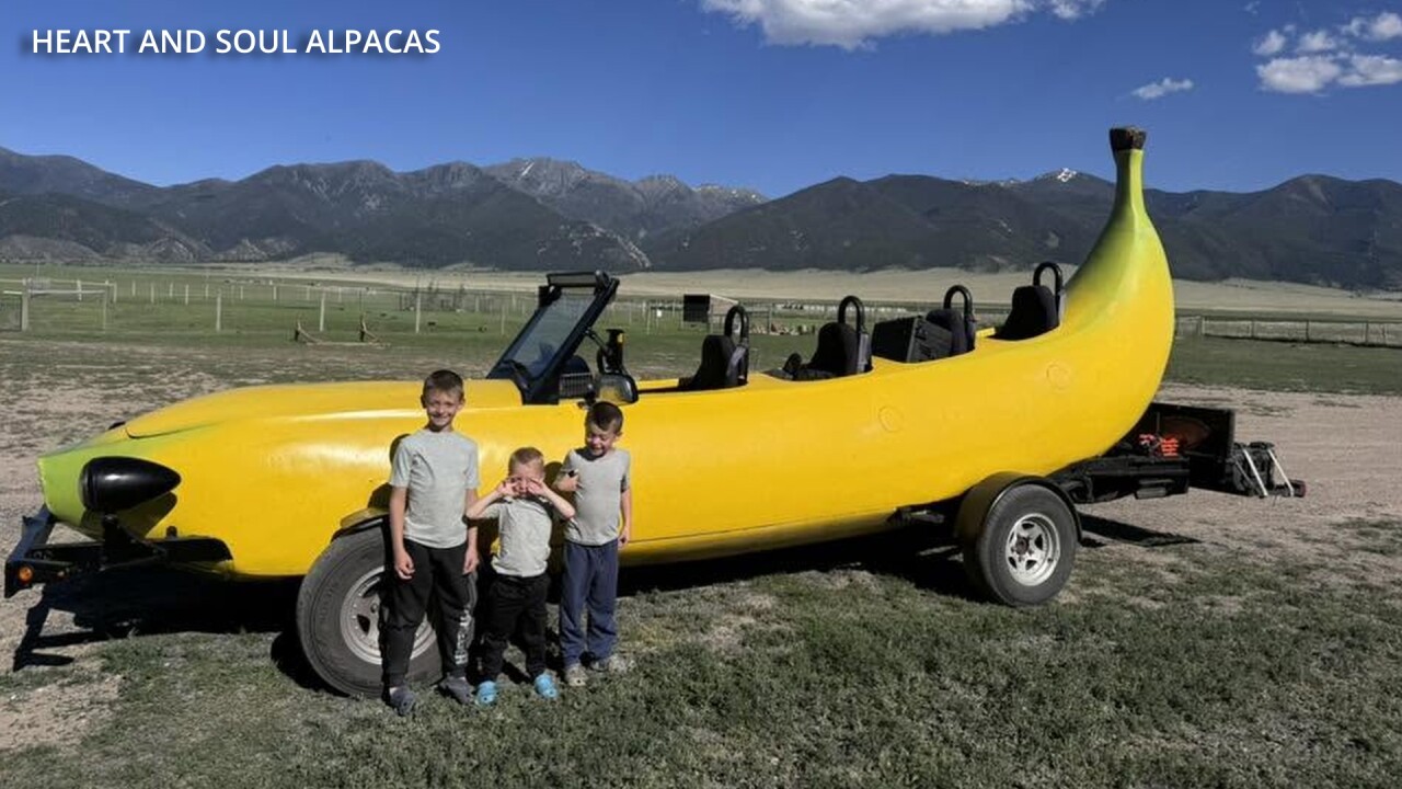 bananacar5_2.18.1.jpg