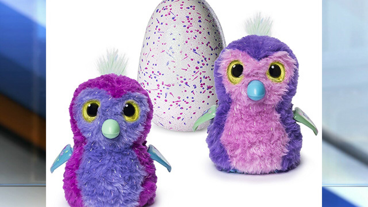 This Year S Hatchimals Are Twins