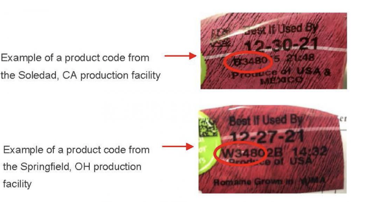 Screen Shot 2022-01-11 at 3.07.27 PM.png