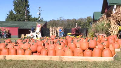 Eckert's Orchard.jpg
